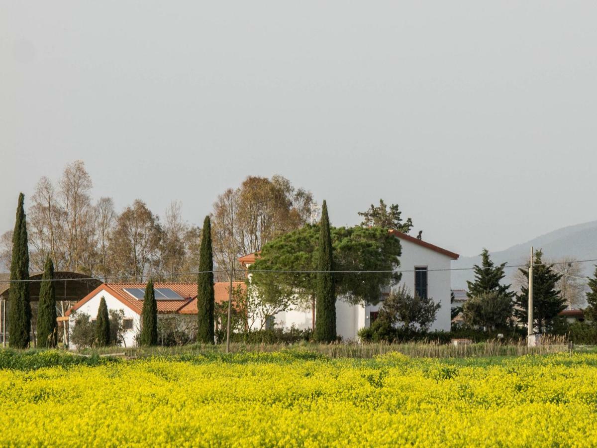 B&B Podere684 Γκροσέτο Εξωτερικό φωτογραφία