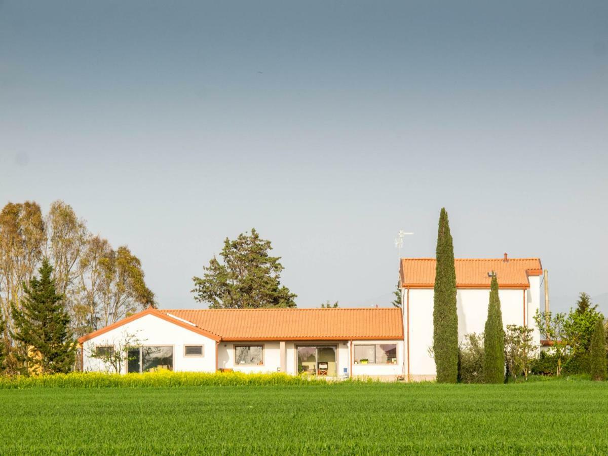 B&B Podere684 Γκροσέτο Εξωτερικό φωτογραφία